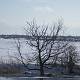  DSC_6570.jpg